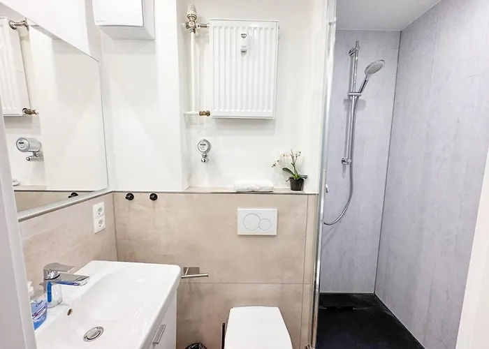 Cozy 2-room With Wifi & Sky Apartmán Koblenc