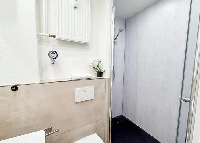 Cozy 2-room With Wifi & Sky Koblenc